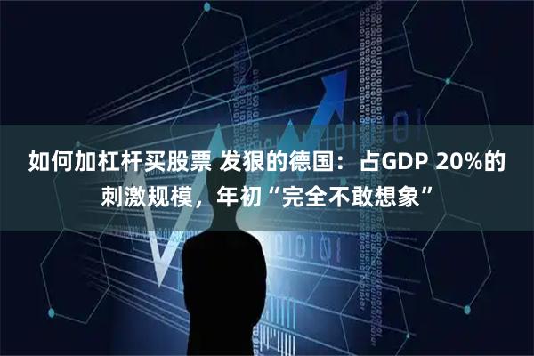 如何加杠杆买股票 发狠的德国：占GDP 20%的刺激规模，年初“完全不敢想象”
