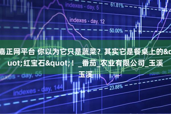嘉正网平台 你以为它只是蔬菜？其实它是餐桌上的"红宝石"！_番茄_农业有限公司_玉溪