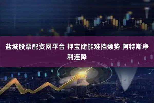盐城股票配资网平台 押宝储能难挡颓势 阿特斯净利连降